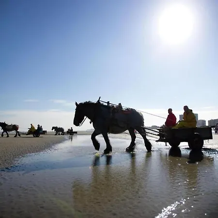 Apartment In With Ocean Views *