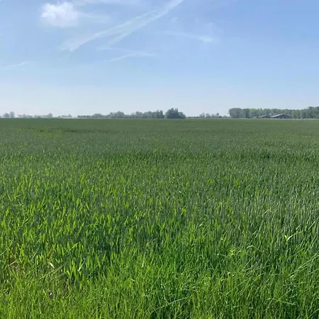 In With Ocean Views * Nieuwpoort