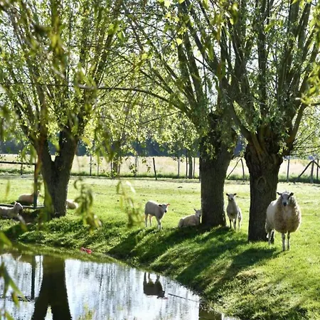 In With Ocean Views Apartment Nieuwpoort