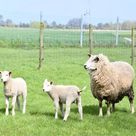 In With Ocean Views Apartment *