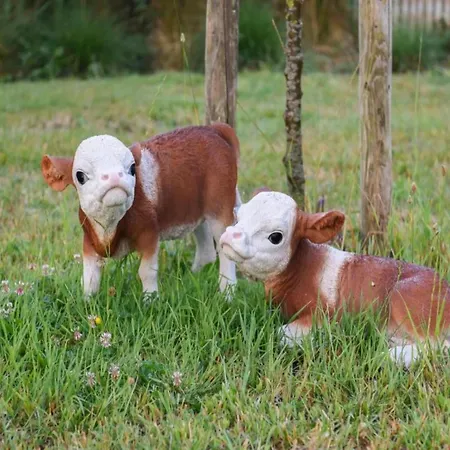 Apartment In With Ocean Views Nieuwpoort